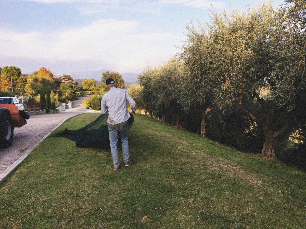 Agriturismo Ca' Cristane Rivoli Veronese Kültér fotó