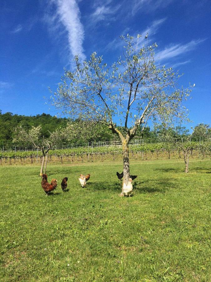 Agriturismo Ca' Cristane Rivoli Veronese Kültér fotó