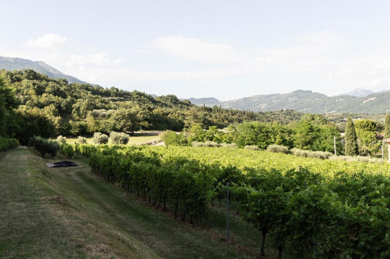 Agriturismo Ca' Cristane Villa Rivoli Veronese Kültér fotó