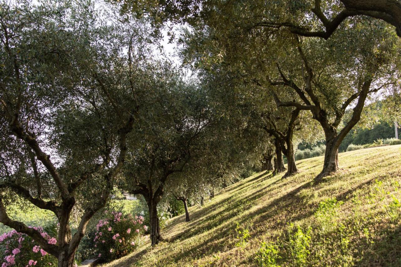 Agriturismo Ca' Cristane Villa Rivoli Veronese Kültér fotó