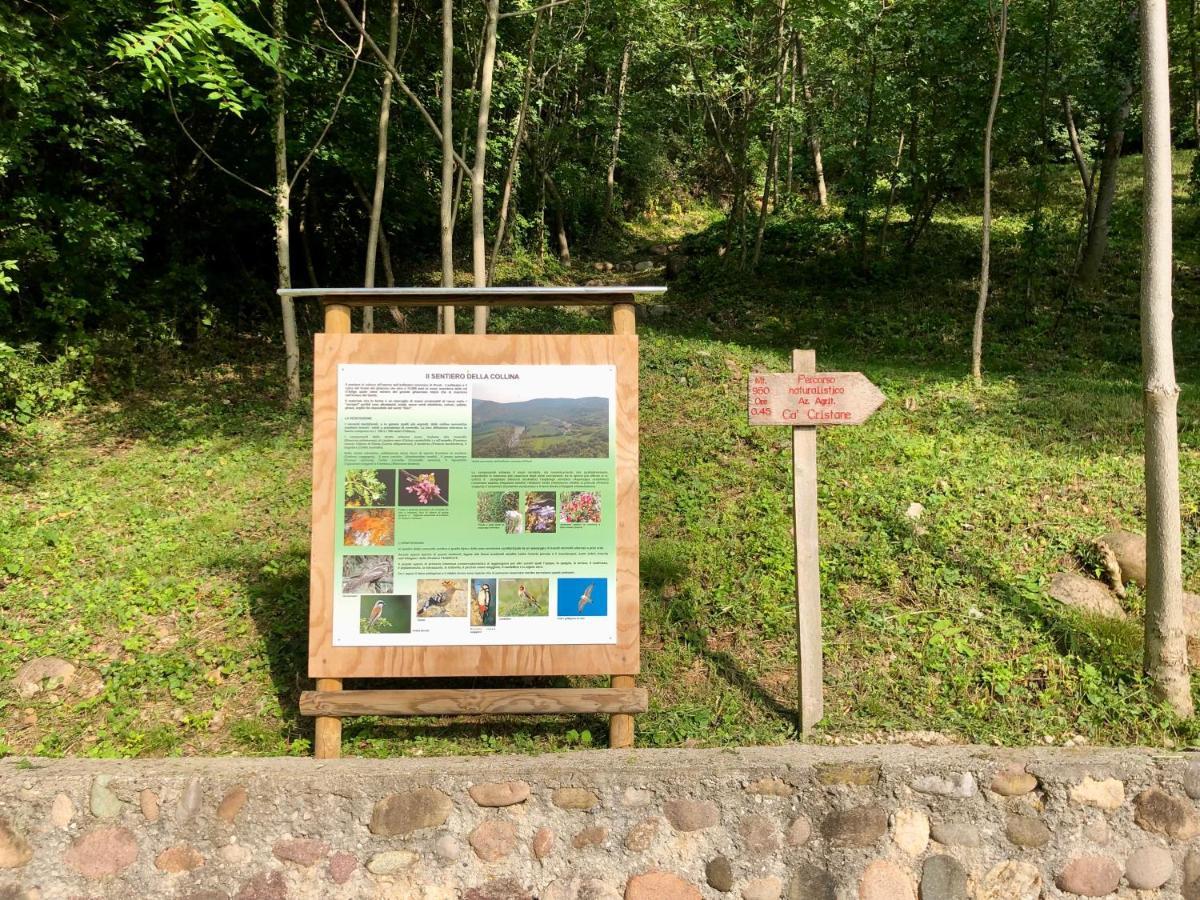 Agriturismo Ca' Cristane Rivoli Veronese Kültér fotó