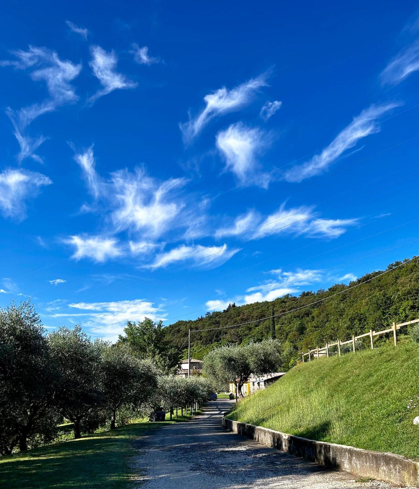Agriturismo Ca' Cristane Rivoli Veronese Kültér fotó