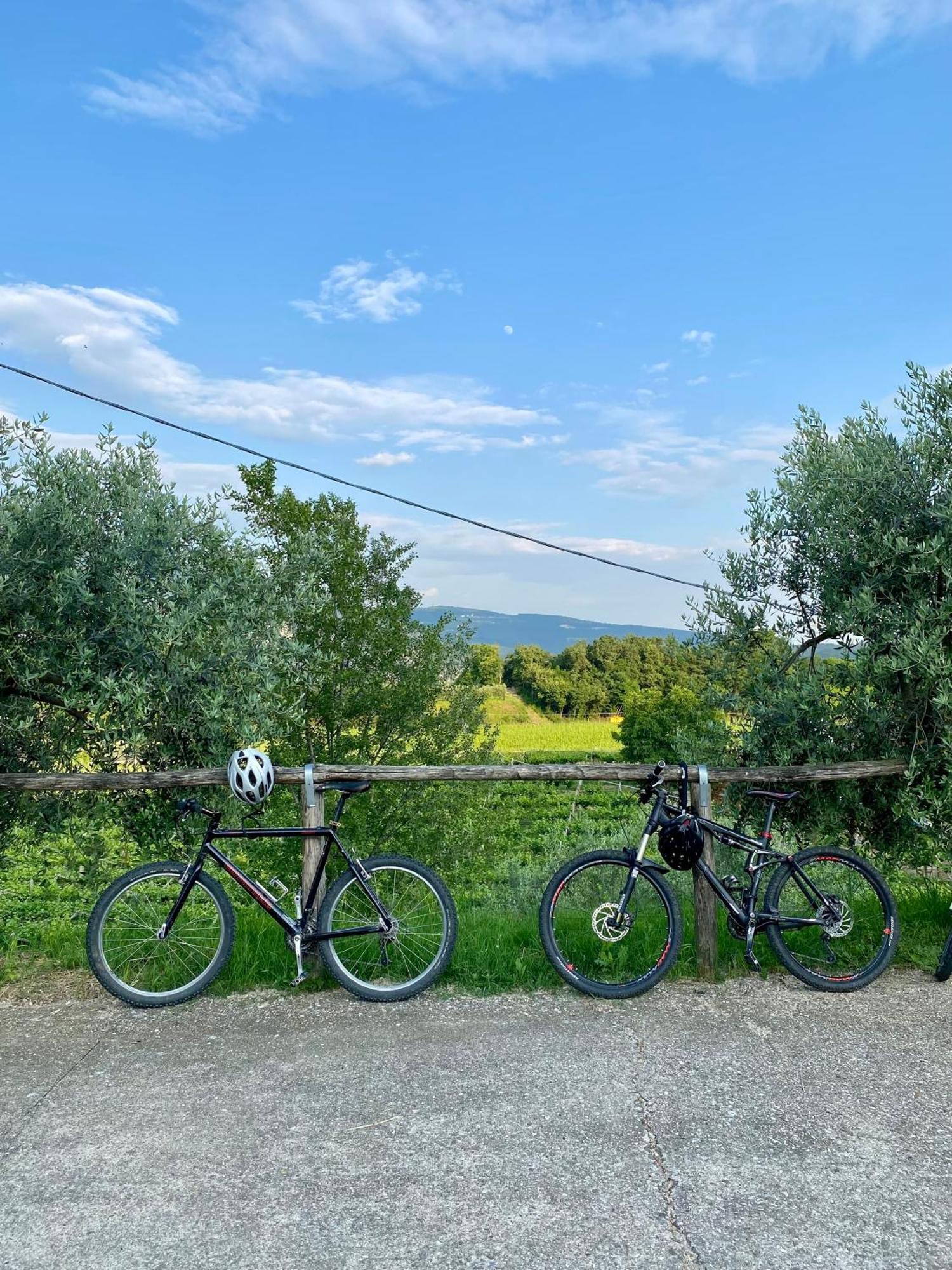 Agriturismo Ca' Cristane Rivoli Veronese Kültér fotó